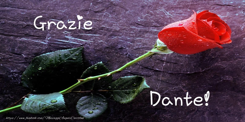 Cartoline di grazie - Rose | Grazie Dante!