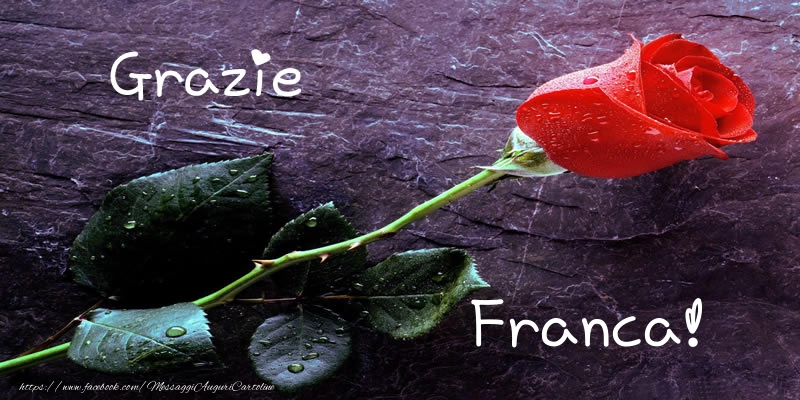  Cartoline di grazie - Rose | Grazie Franca!