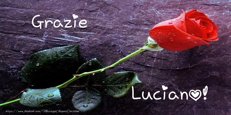 Cartoline di grazie - Rose | Grazie Luciano!
