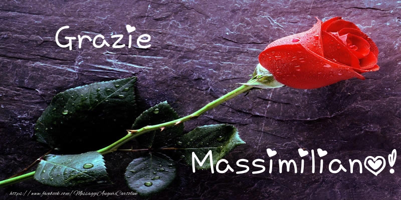  Cartoline di grazie - Rose | Grazie Massimiliano!