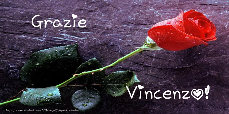 Cartoline di grazie - Rose | Grazie Vincenzo!
