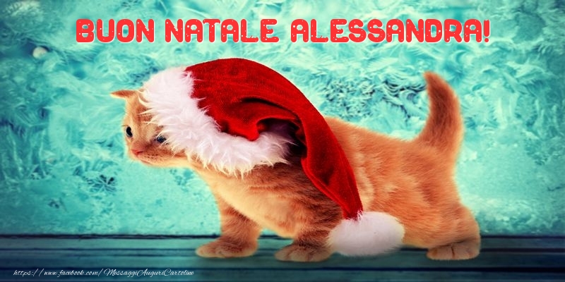 Cartoline di Natale - Animali & Babbo Natale | Buon Natale Alessandra!