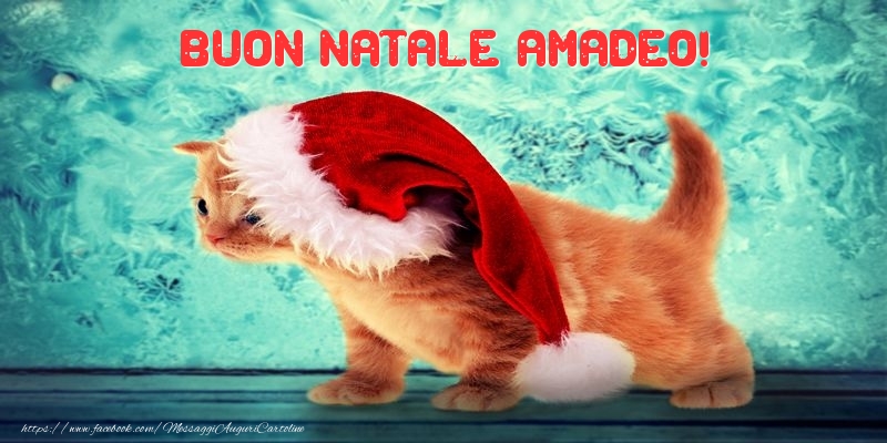 Cartoline di Natale - Animali & Babbo Natale | Buon Natale Amadeo!