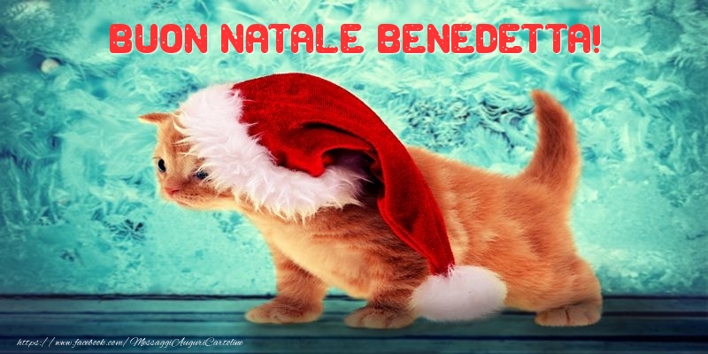 Cartoline di Natale - Animali & Babbo Natale | Buon Natale Benedetta!