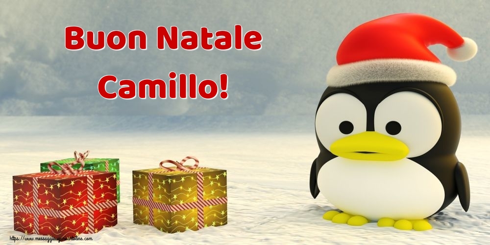 Cartoline di Natale - Buon Natale Camillo!