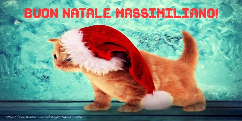Cartoline di Natale - Animali & Babbo Natale | Buon Natale Massimiliano!