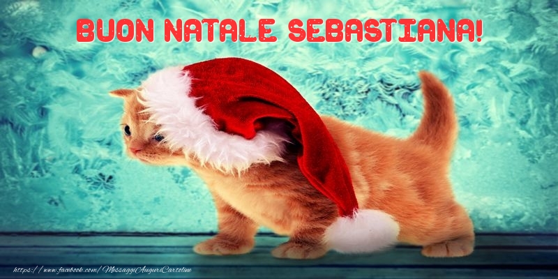 Cartoline di Natale - Animali & Babbo Natale | Buon Natale Sebastiana!