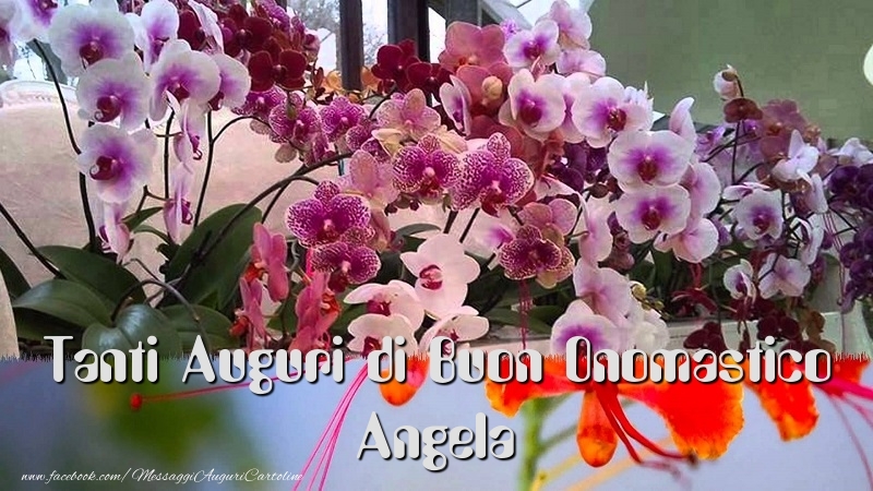 Cartoline di onomastico - Fiori | Tanti Auguri di Buon Onomastico Angela
