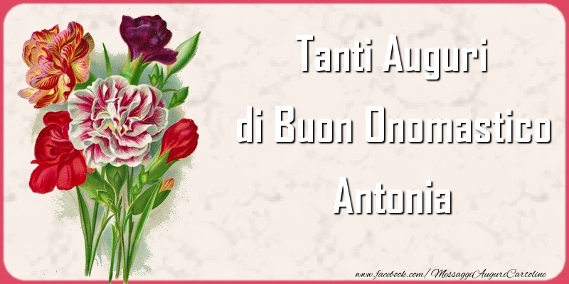 Cartoline di onomastico - Tanti Auguri di Buon Onomastico Antonia