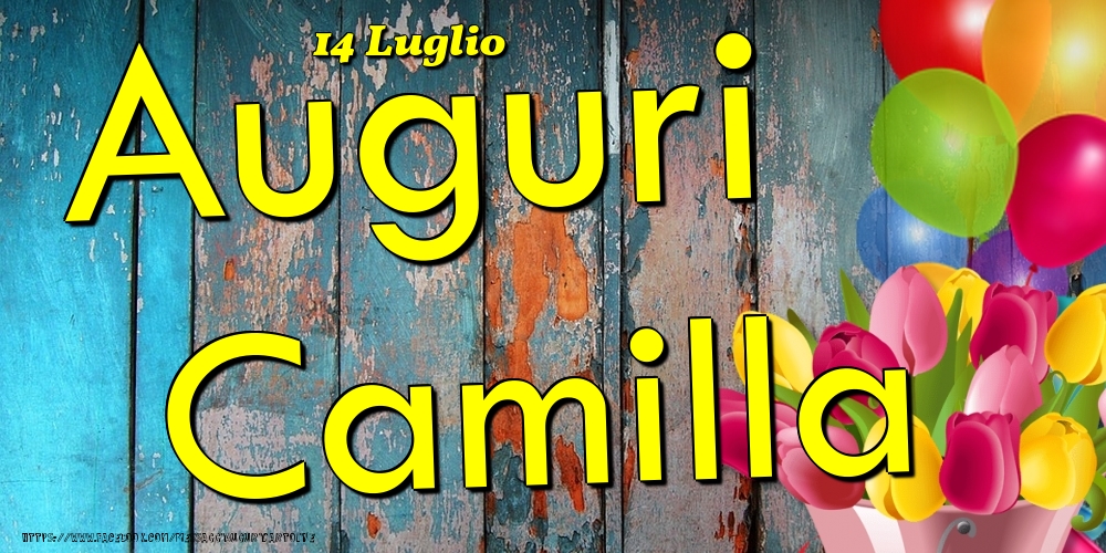 Cartoline di onomastico - Fiori & Palloncini | 14 Luglio - Auguri Camilla!