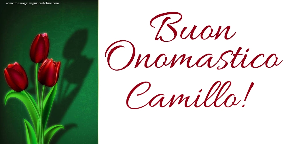 Cartoline di onomastico - Buon Onomastico Camillo!