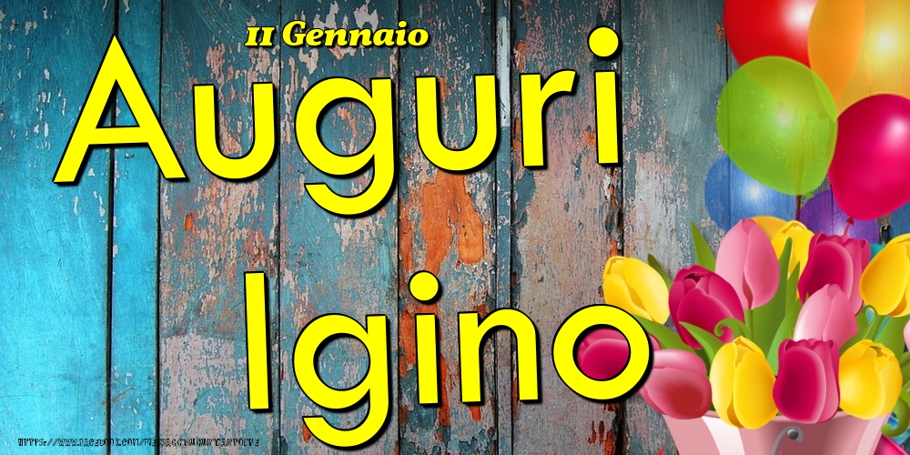 Cartoline di onomastico - Fiori & Palloncini | 11 Gennaio - Auguri Igino!