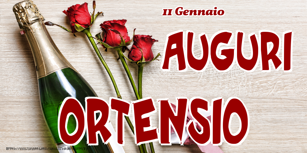 Cartoline di onomastico - 11 Gennaio - Auguri Ortensio!