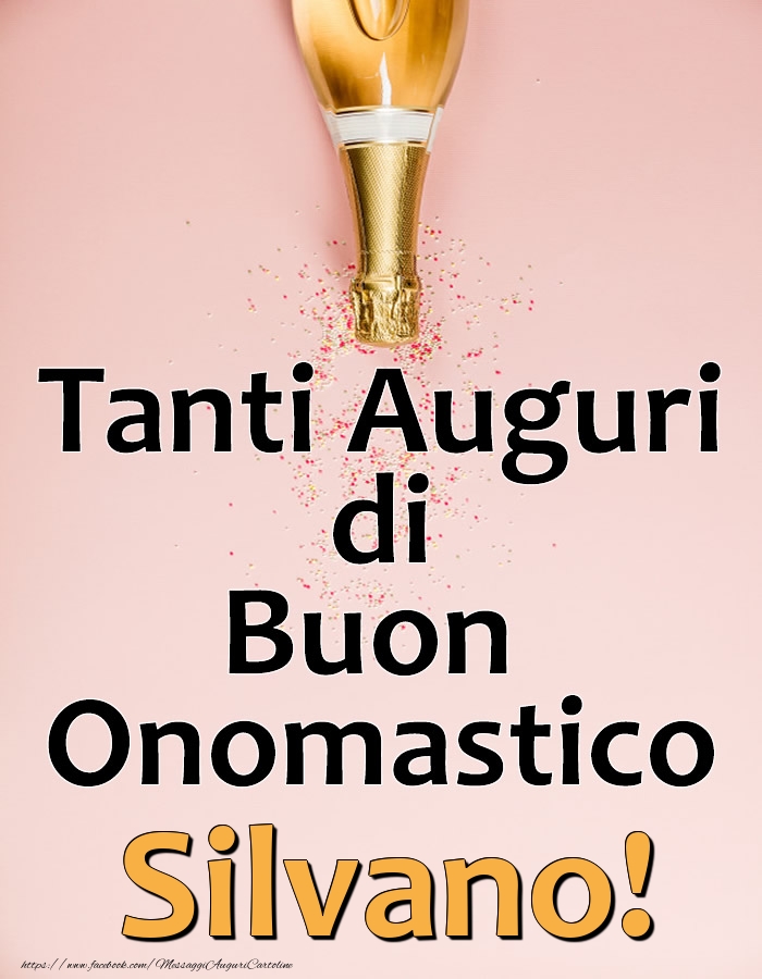  Cartoline di onomastico - Champagne | Tanti Auguri di Buon Onomastico Silvano!