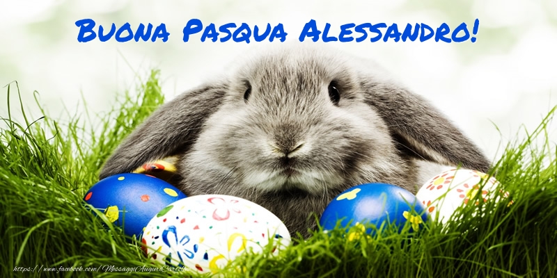 Cartoline di Pasqua - Coniglio & Uova | Buona Pasqua Alessandro!